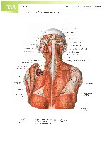 Sobotta  Atlas of Human Anatomy  Trunk, Viscera,Lower Limb Volume2 2006, page 45